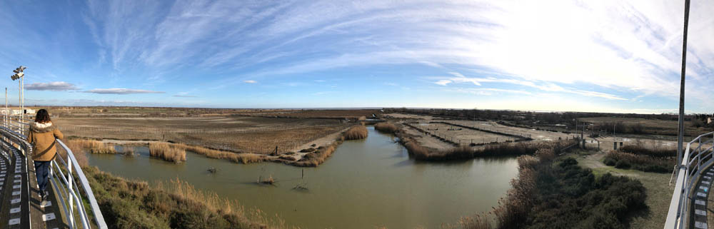 Les Aixois en Camargue