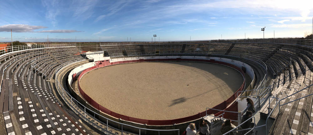 Les Aixois en Camargue