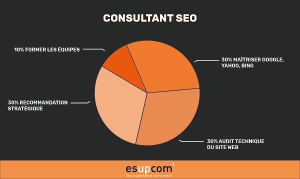 consultant SEO